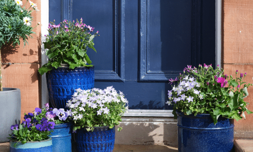How to Create Sensational Pots and Planters