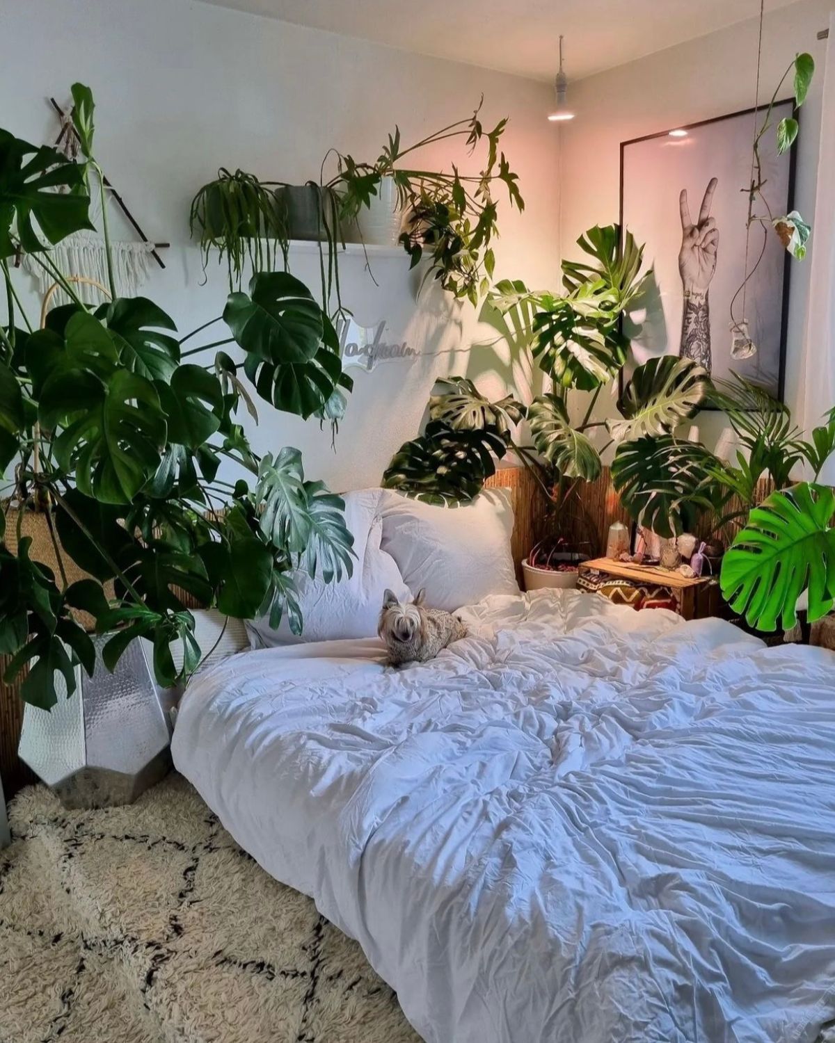 17 White Bedroom Ideas With Plants For A Sleep Sanctuary - Sleek-chic ...