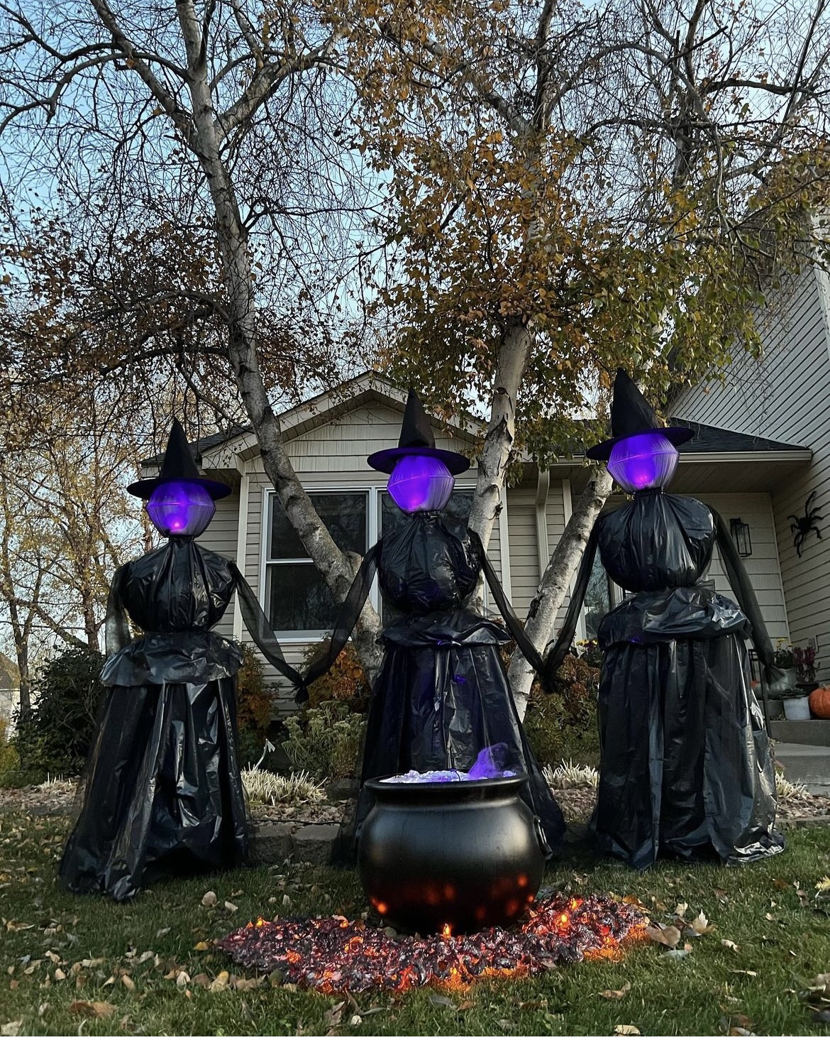 halloween decor 13